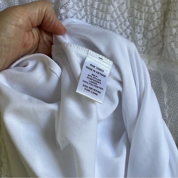 Rabbit Rabbit Rabbit Lace Overlay Dress Wedding Sheer Size 18W Coquette Romantic - Picture 9 of 14